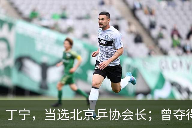 丁宁，当选北京乒协会长；曾夺得21个世界冠军头衔，是乒乓球“大满贯”得主