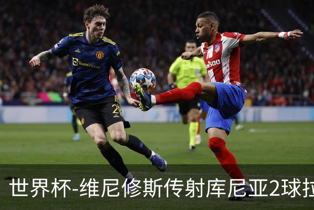世界杯-维尼修斯传射库尼亚2球拉菲尼亚伤退 半场巴西3-0海地