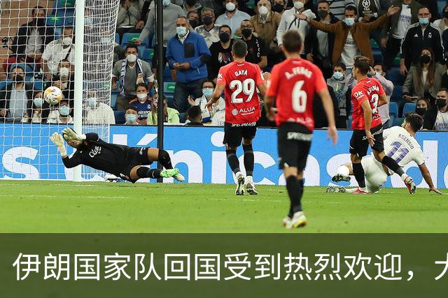 伊朗国家队回国受到热烈欢迎，大批球迷接机