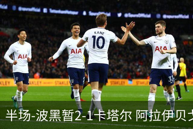 半场-波黑暂2-1卡塔尔 阿拉伊贝戈维奇世界波破门哲科造乌龙