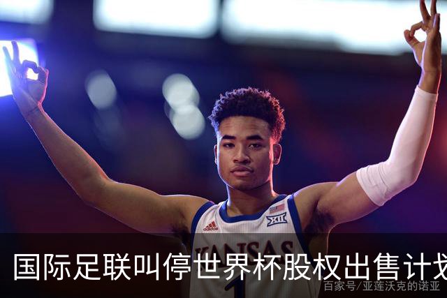 国际足联叫停世界杯股权出售计划
